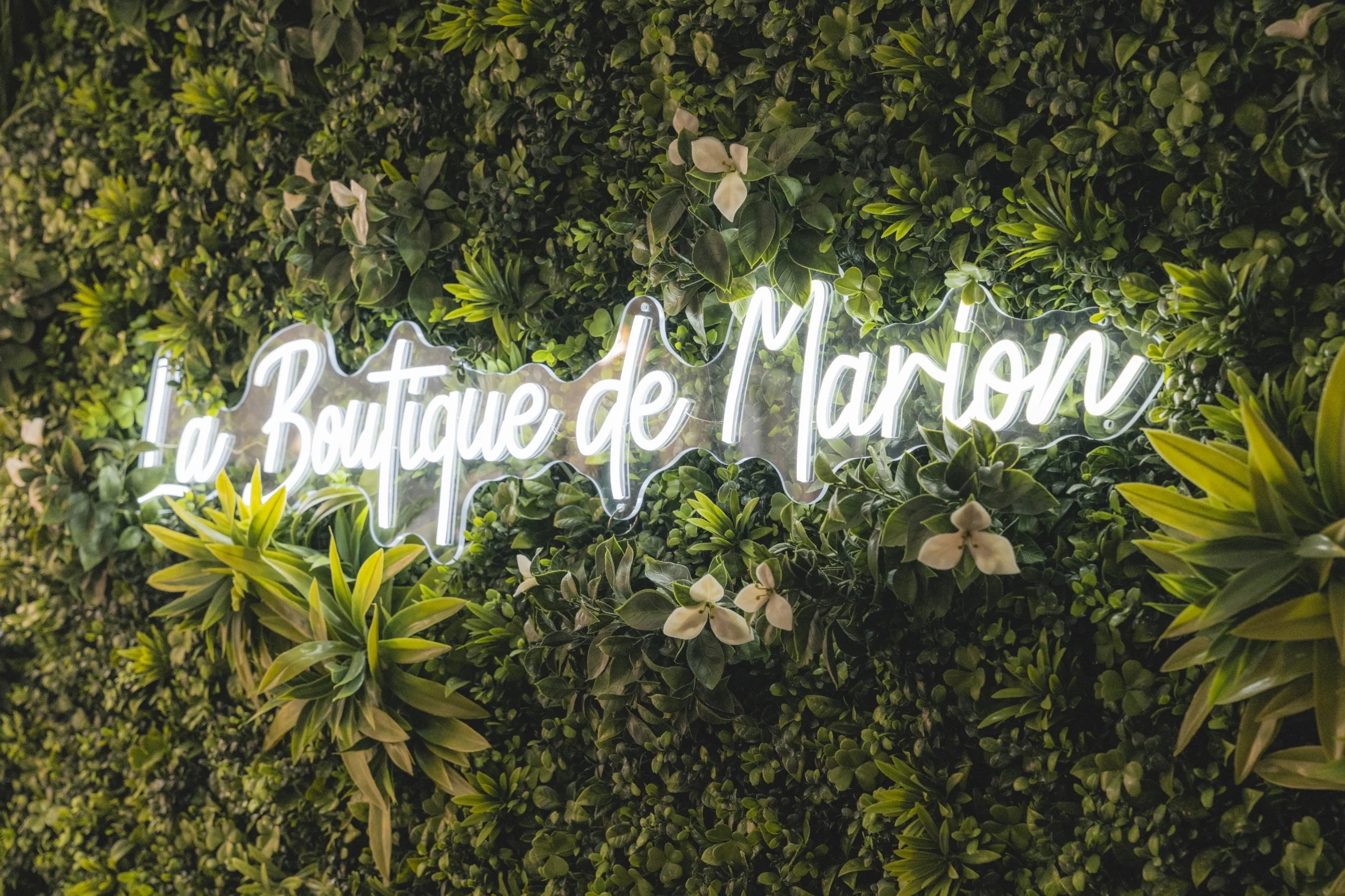 Toute la boutique